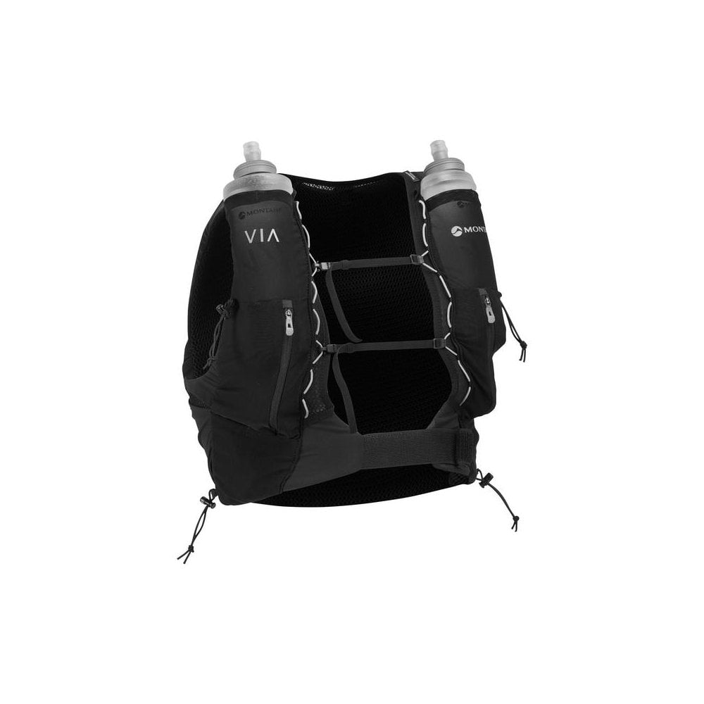 Montane Gecko Red