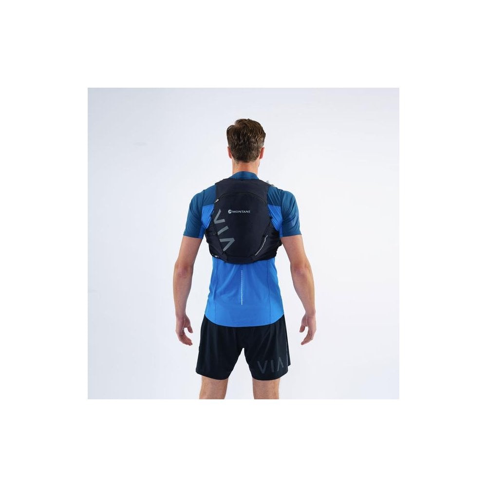 Montane Gecko Red