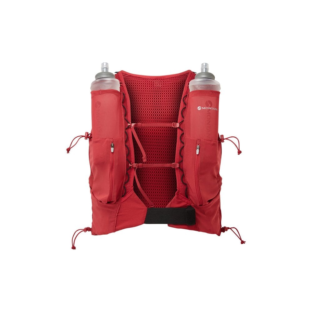 Montane Gecko Red