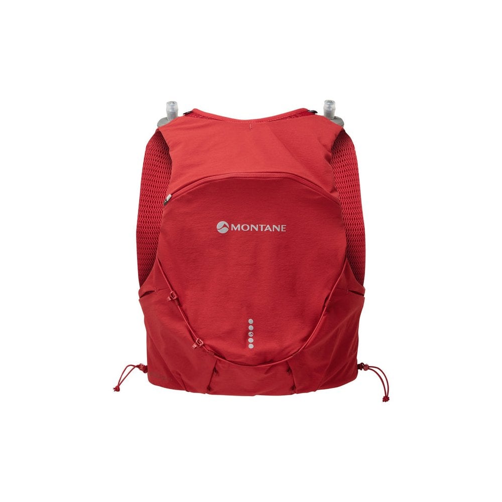 Montane Gecko Red