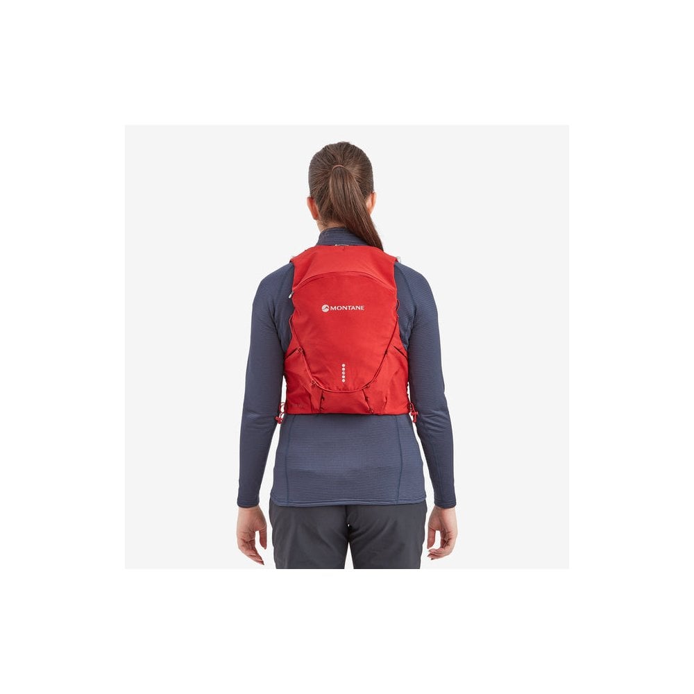Montane Gecko Red